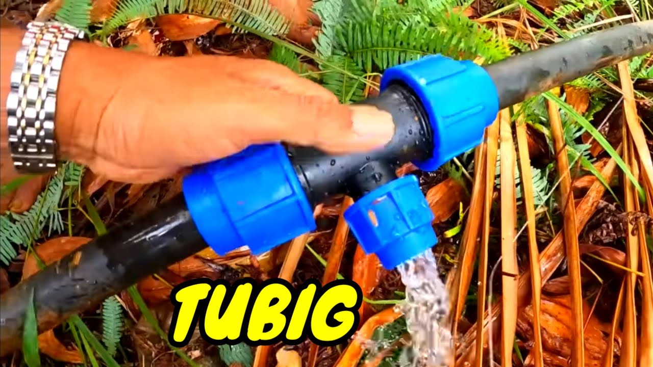 P6 - MAY TUBIG NA SA ATING FARM - EP62