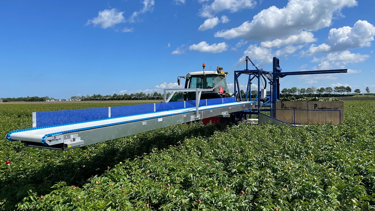 How to harvest flowers | The Integra harvesting machine from Beets Aluminium Products