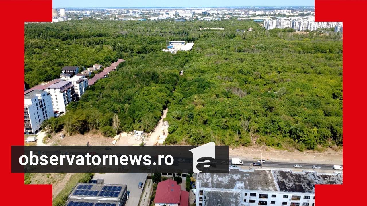 Pădurea urbană de lângă Bucureşti ar putea fi defrişată şi înlocuită de blocuri de 14 etaje