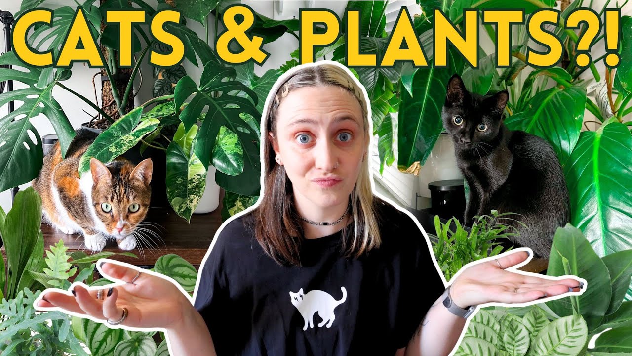 How I Keep My Cats Safe Around 200+ Houseplants 🐾🌿 Pet Friendly Indoor Jungle