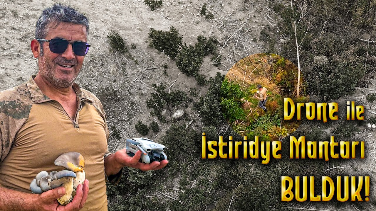 Drone ile İstiridye Mantarı BULDUK!