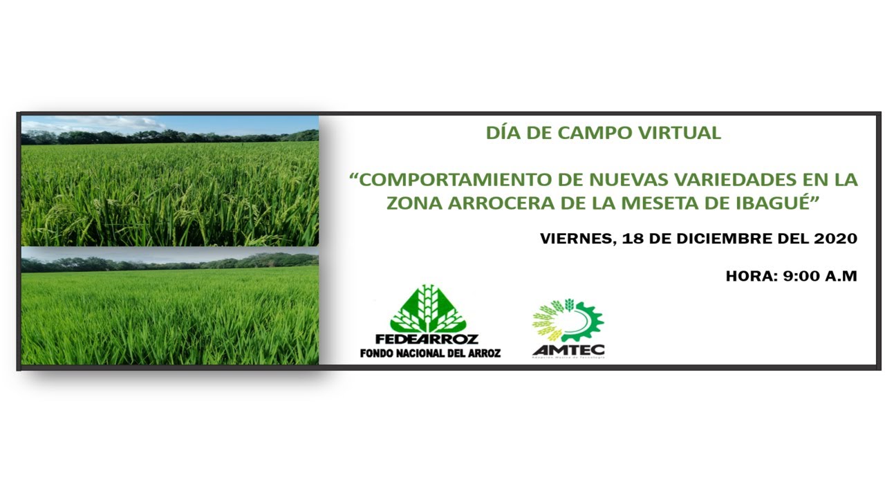 DÍA DE CAMPO VIRTUAL - COMPORTAMIENTO DE NUEVAS VARIEDADES