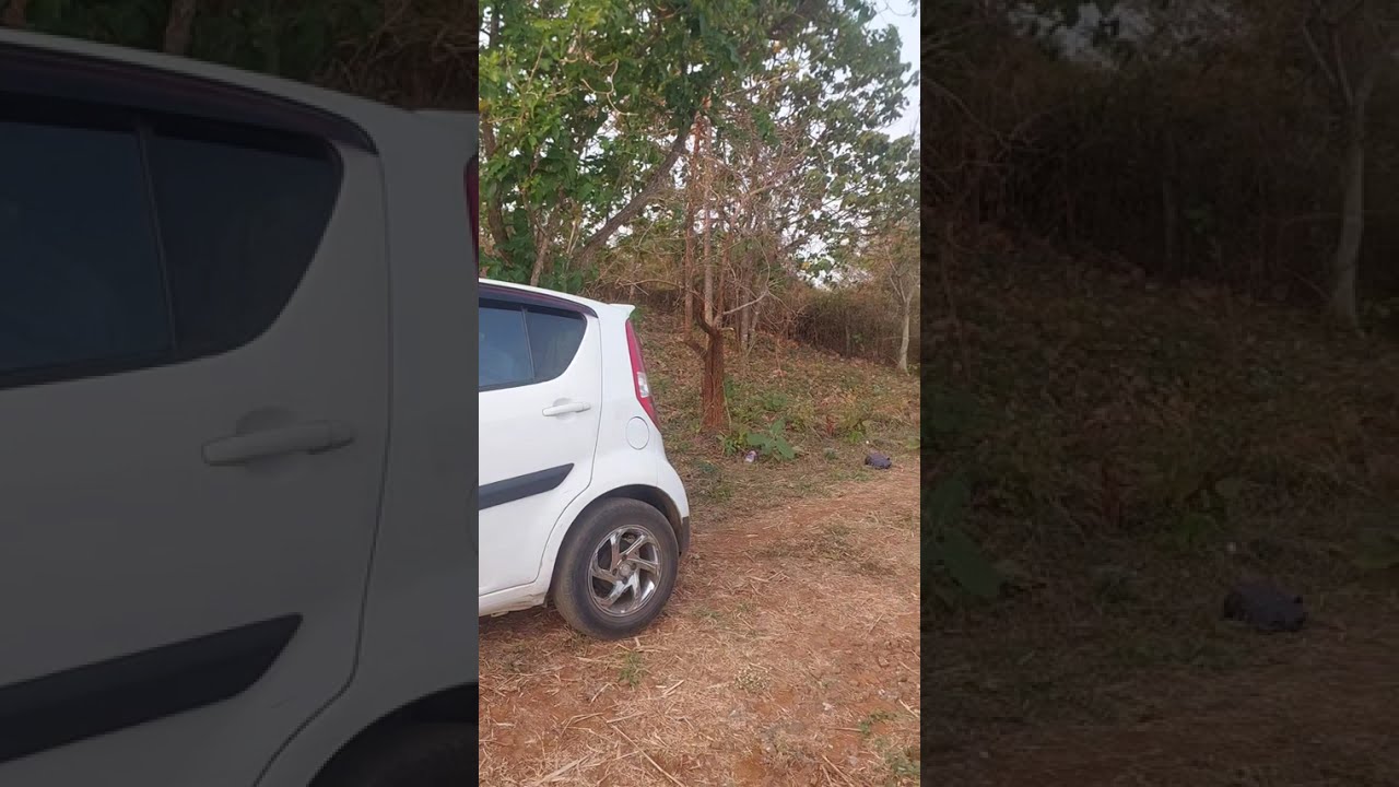 Visiting kerala maintain forest Untitled  