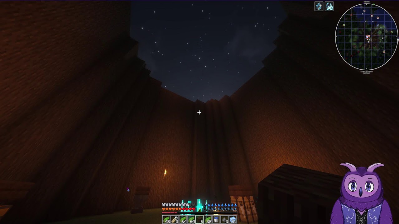 ⭐Can a little dragon place block? - Minecraft Void SMP⭐