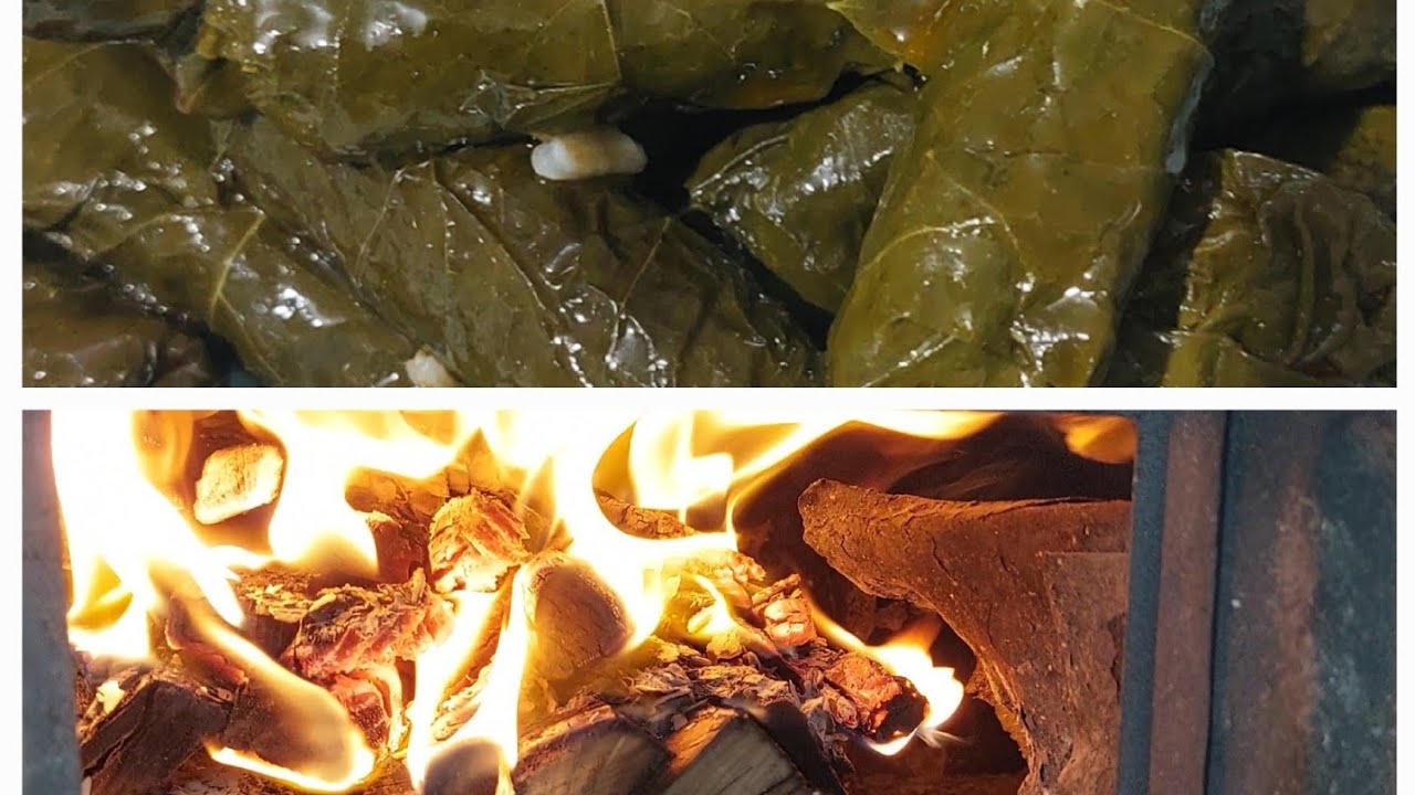 Yaprak sarması 🔥🔥🔥👌👌🍽🍽