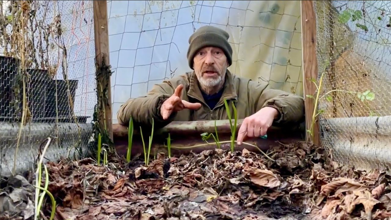 Hot vegetable bed - Off-grid in winter