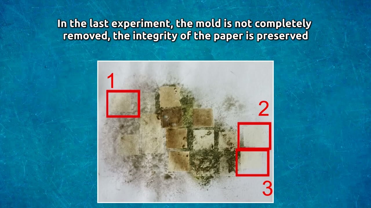 Laser mold removal using 3 watt UV 355 nm laser