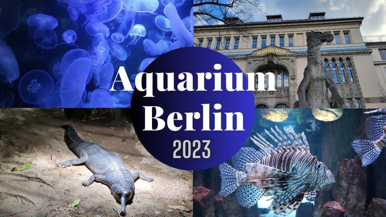 Aquarium Berlin 2023 | Zwischen exotischen Fischen und gefährlichen Reptilien | Unterwasserwelten