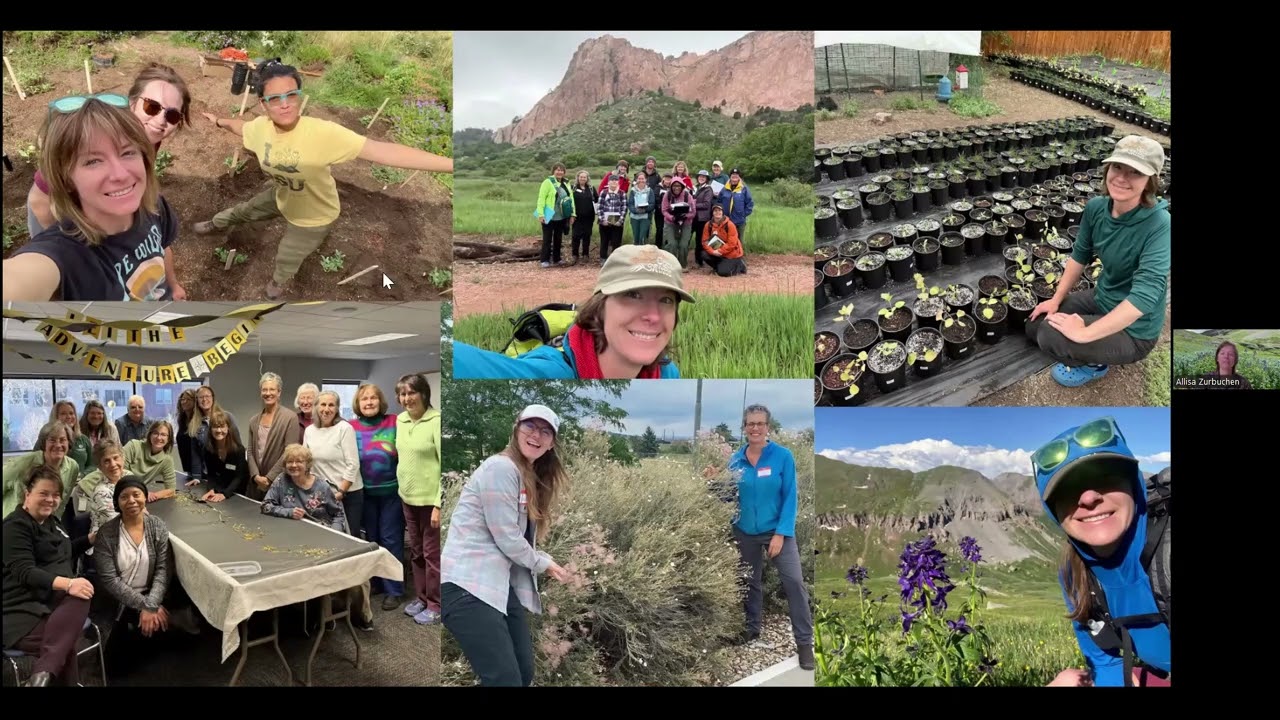 Native Plants: Potting Media, Soil, and Tips for Transplanting Success by Allisa Zurbuchen