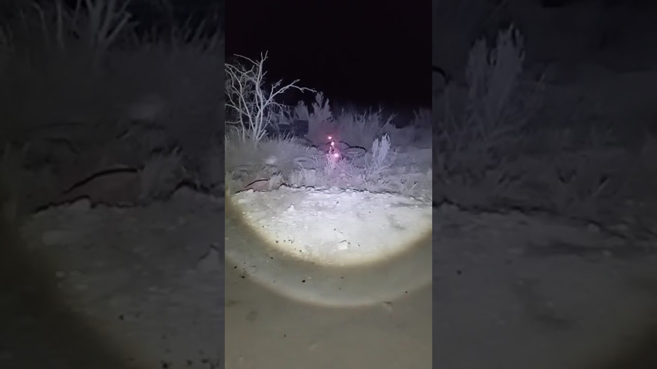 El Camino a Puente Negro coahuila | aquí piden ayuda