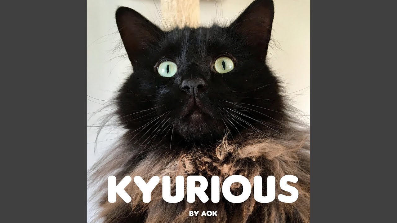 Kyurious