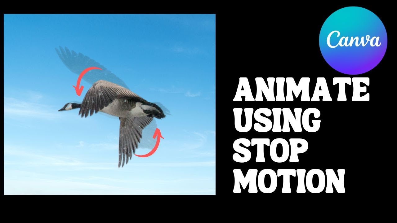 Creating Stop Motion Animation in Canva: A Step-by-Step Guide
