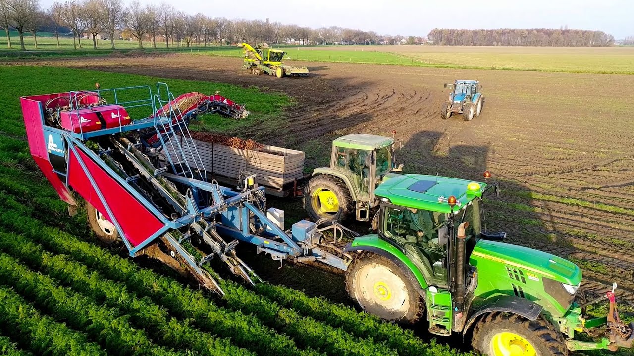 Wortels rooien | Harvesting carrots | Karotten ernten | Asa-Lift | Ploeger | John Deere | Oogst 2020