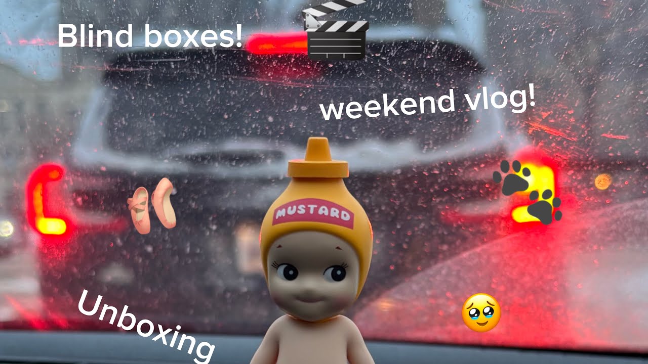 REALISTIC weekend VLOG!🥹🐾🩰🤏🏽🎬🐩