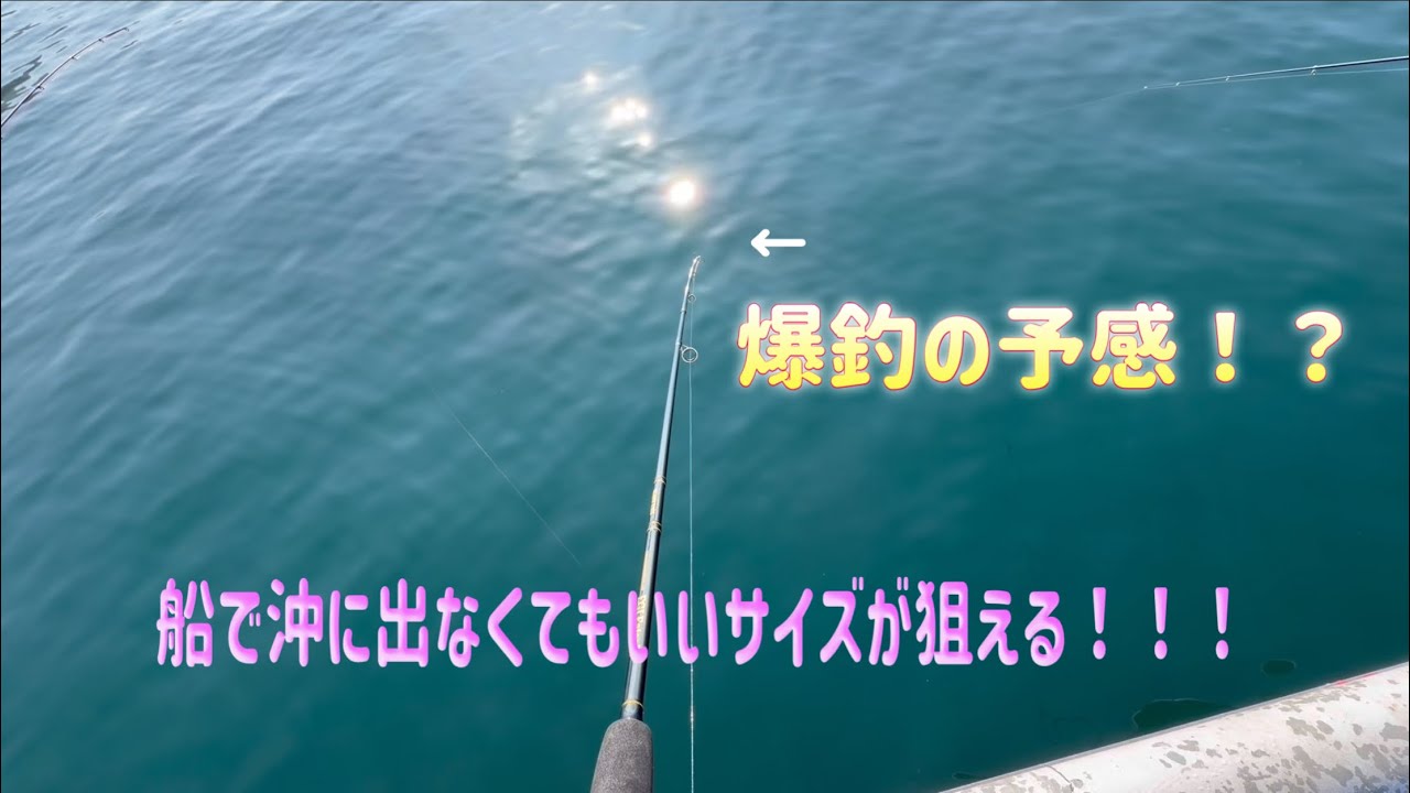 20センチオーバー連発！！！ヒラメの釣果は果たして・・・。#釣り #釣り夫婦  #サビキ釣り #のませ釣り 