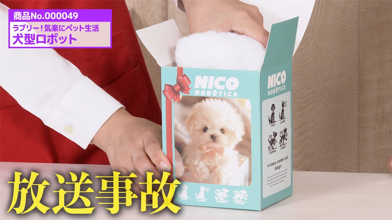 SNSで話題の犬型ペットロボットで放送事故