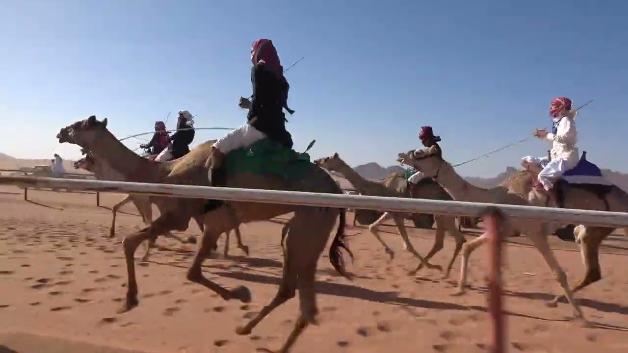 شوط الماراثون من مسافة 6كم (عباب) لـ محمد عطيه المسعودي 1445/10/2