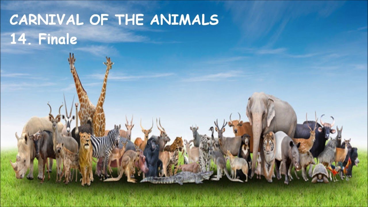 Saint Saens:Carnival Of The Animals(Original Version-1886)Georges Truc& ? Sym. Orch.78's-1928