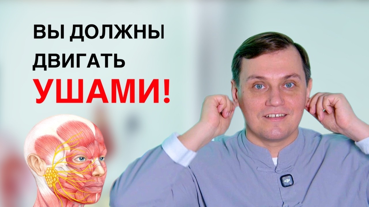 Вы ДОЛЖНЫ двигать ушами! Лицевой нерв: лечение, парез, невралгия, зубная боль и морщины