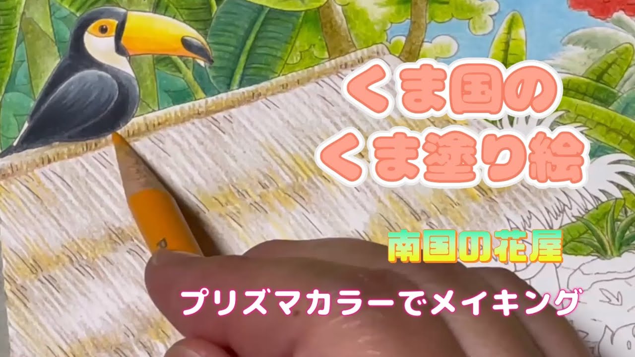 夏ですね〜くま国のくま塗り絵【南国の花屋】をプリズマカラーで塗りました