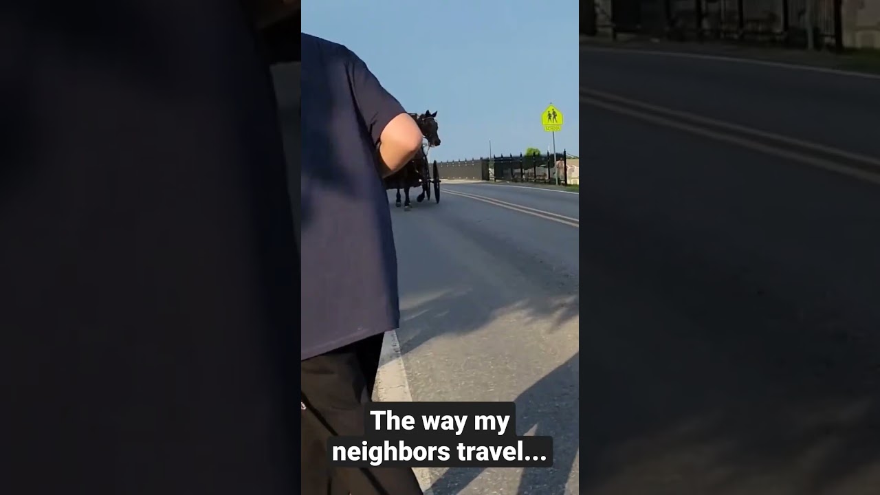 Amish Travel Secrets | How My Neighbors Get Around #mennonite #amish