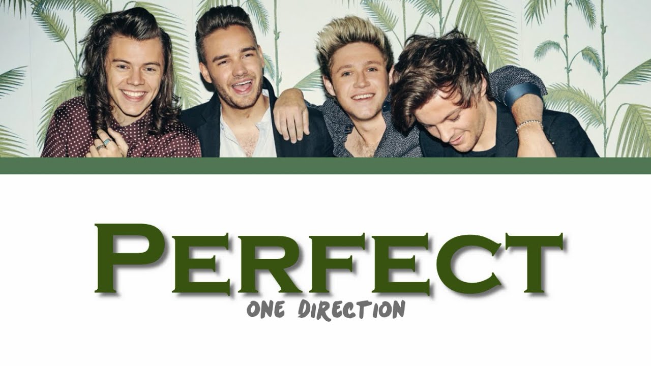 ONE DIRECTION - PERFECT lyrics (Color Coded)