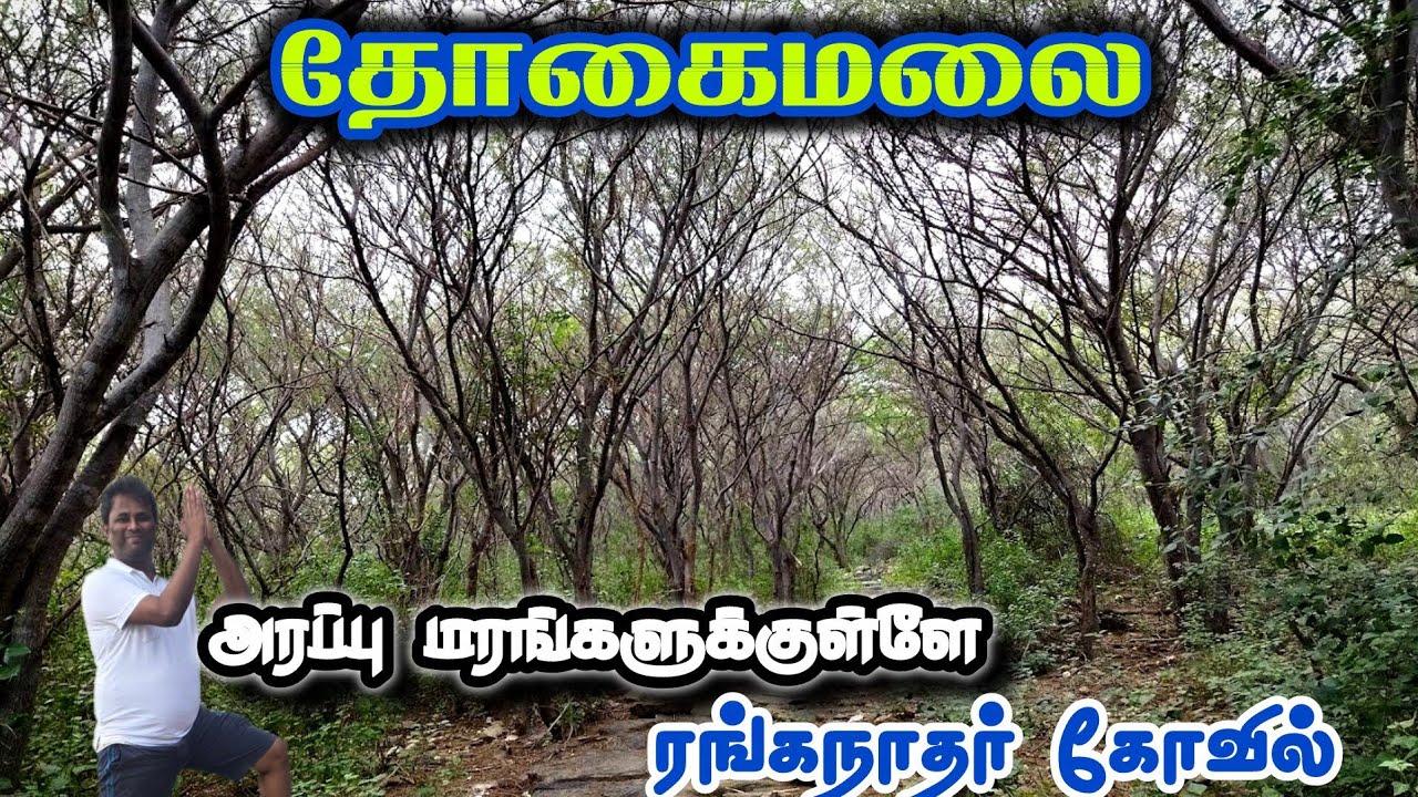 🔥தோகைமலை, ரங்கநாதர் கோவில் கோயம்புத்தூர் | Explore THOGAIMALAI'S Hidden Gems on Foot!, Coimbatore