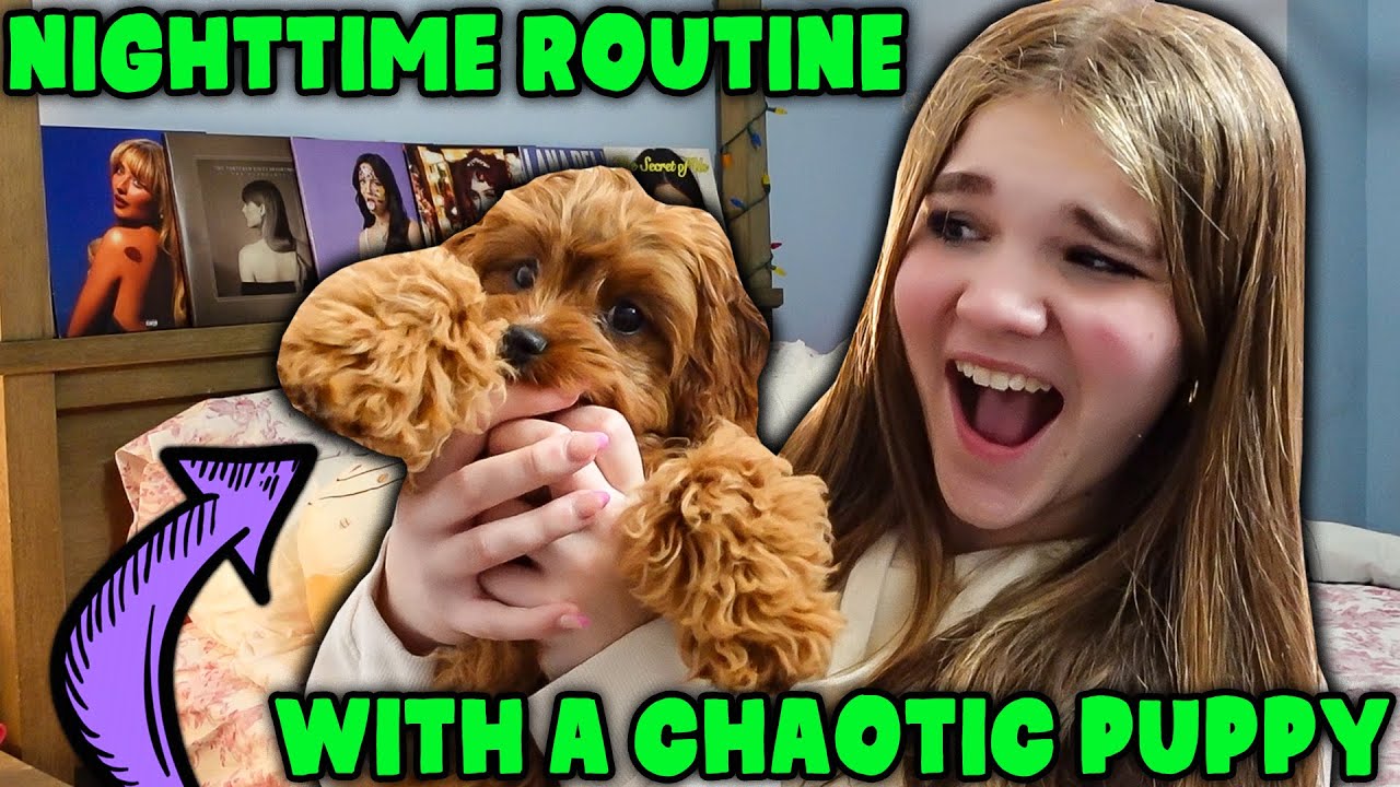 Teenager Nighttime Routine With My New Puppy!  Bad Idea