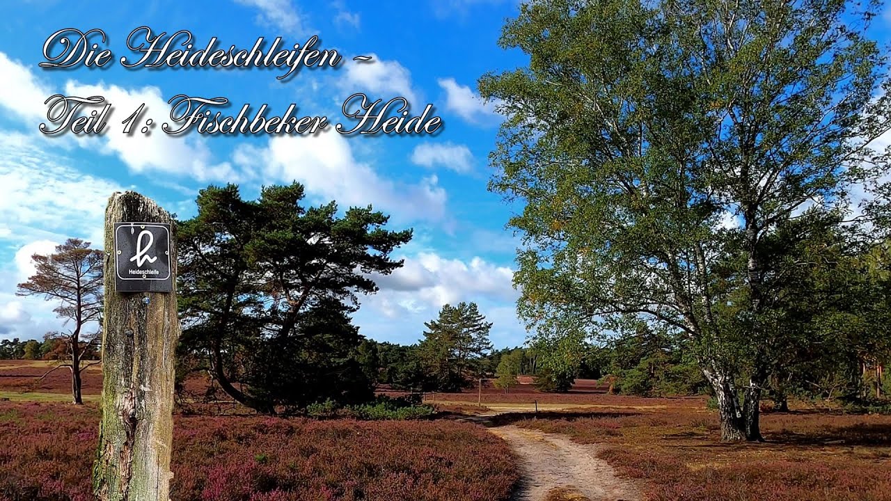 Fischbeker Heide - Die Heideschleifen Teil 1