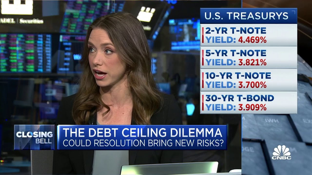 Raising the debt ceiling could cause a new risk to equities: New York Life Investments' Goodwin