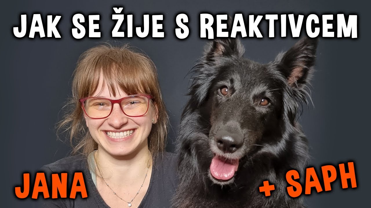 Jak se nám žije s REAKTIVCEM 🐶 Díl III. - Jana a belgický ovčák groenendael Saphira