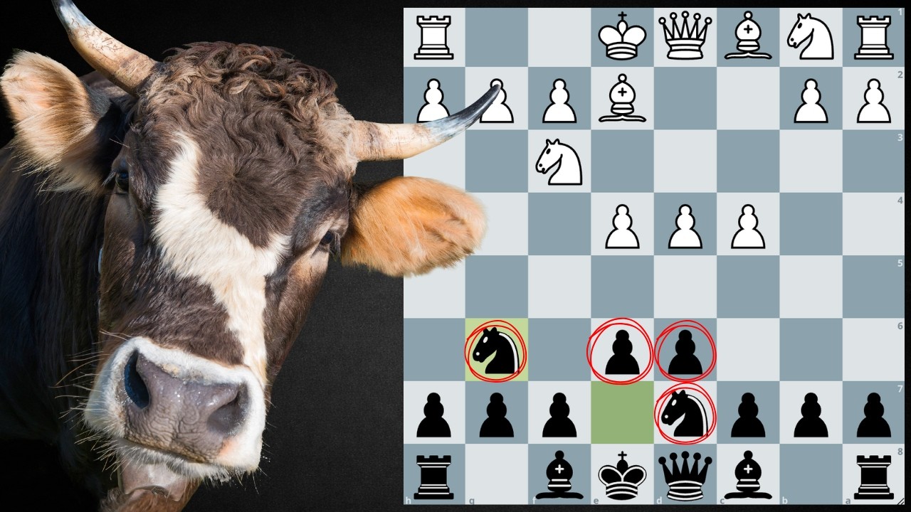 Cow Opening vs 2500 ELO (Shocking Result)