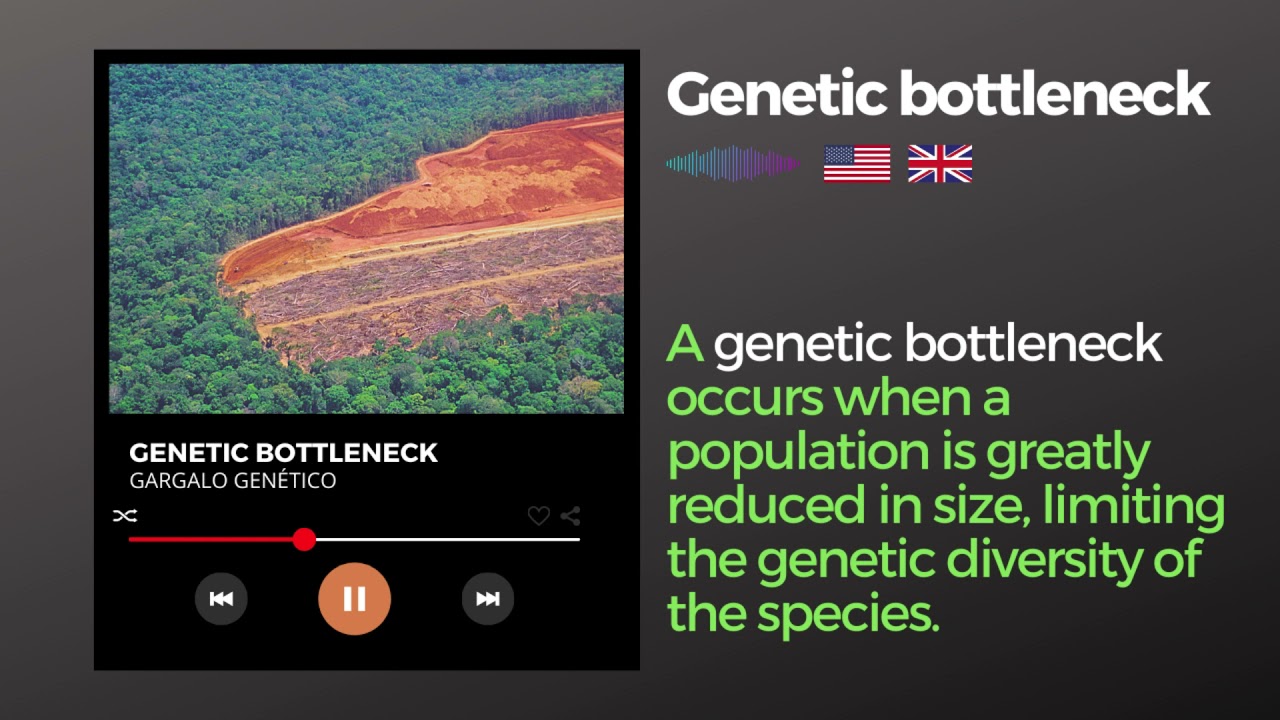 Genetic bottleneck | 🇺🇸 🇬🇧