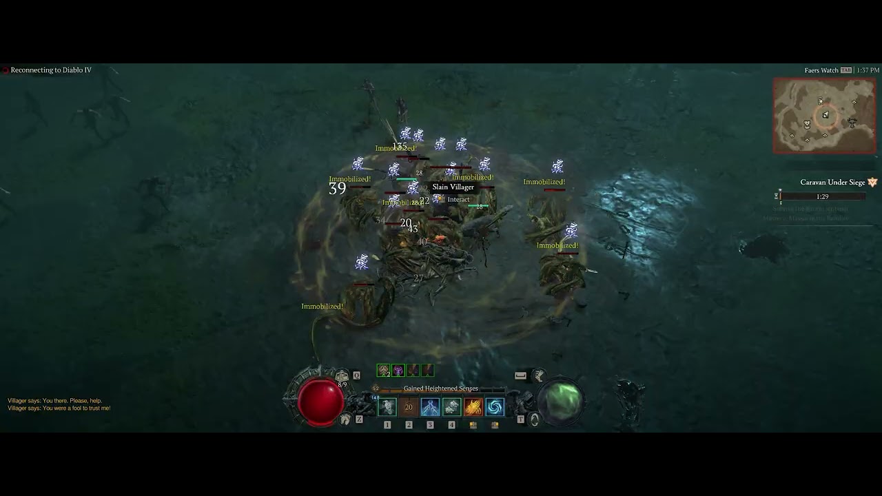 Diablo IV Druid