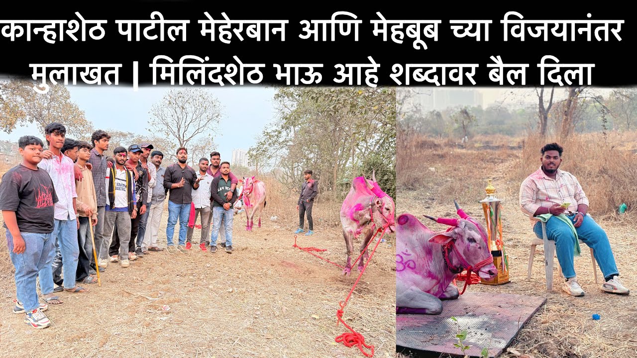 दिपकशेठ पाटील यांच्या मेहेरबान आणि मेहबूब च्या विजयानंतर मुलाखत | मिलिंदशेठ भाऊ आहे शब्दावर बैल दिला