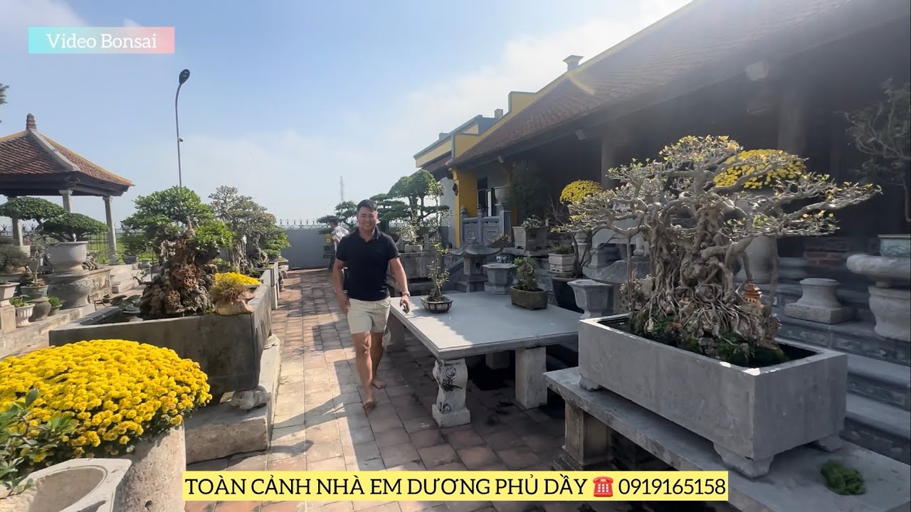 TOÀN CẢNH ĐỒ ĐÁ NHÀ EM DƯƠNG PHỦ DẦY ☎️ 0919165158