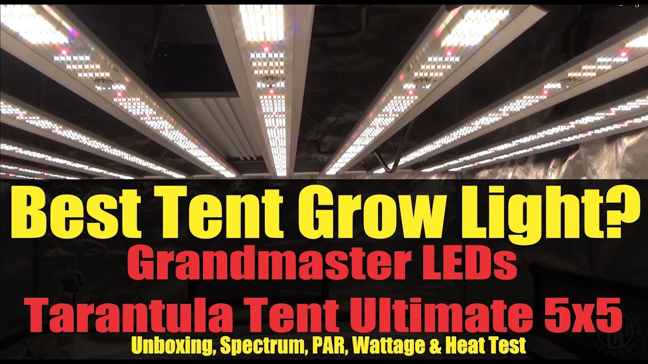 Best 5x5 Tent Light? Grandmaster LEDs Tarantula Tent Ultimate PAR, Spectrum, Wattage & Heat Test