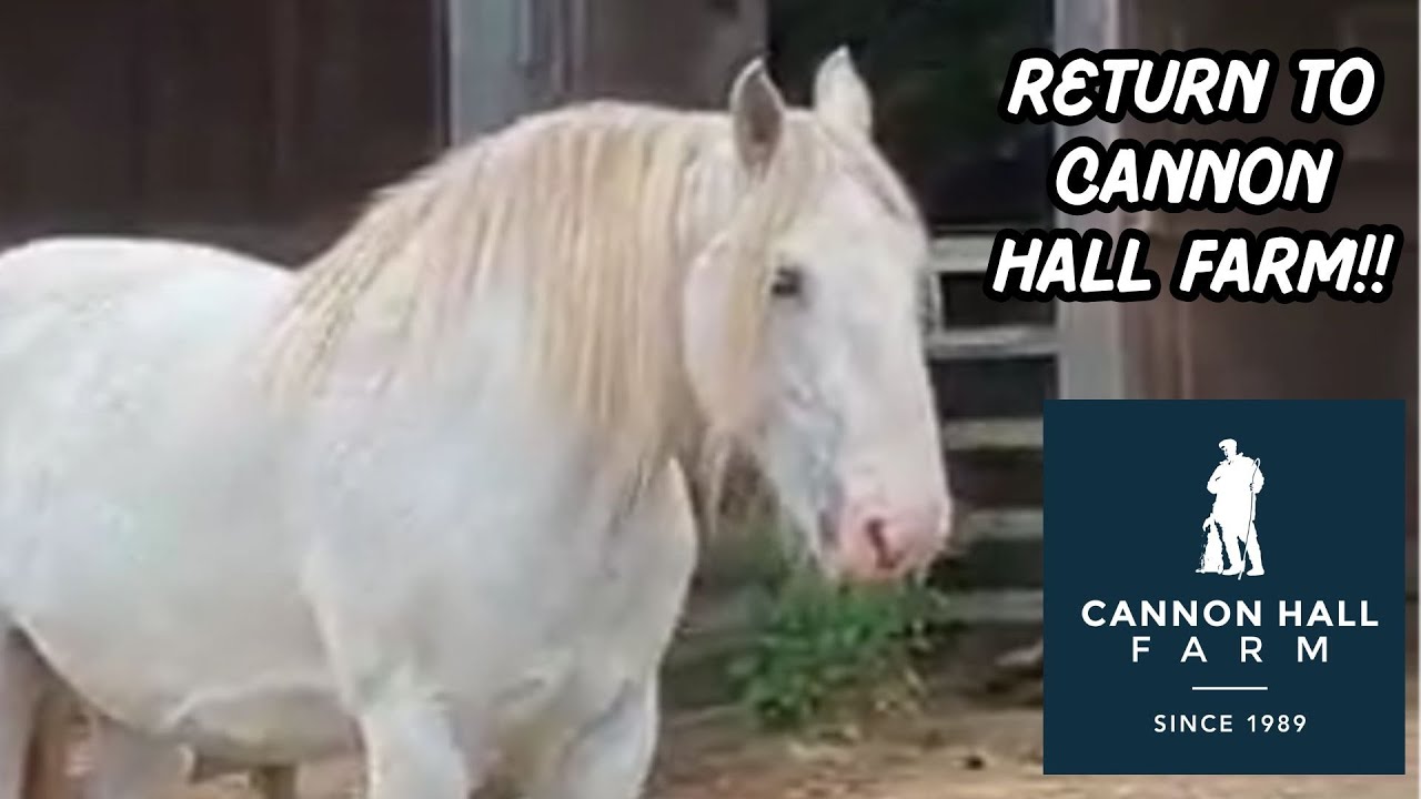Return To CANNON HALL FARM!! A Great Place To Visit!!