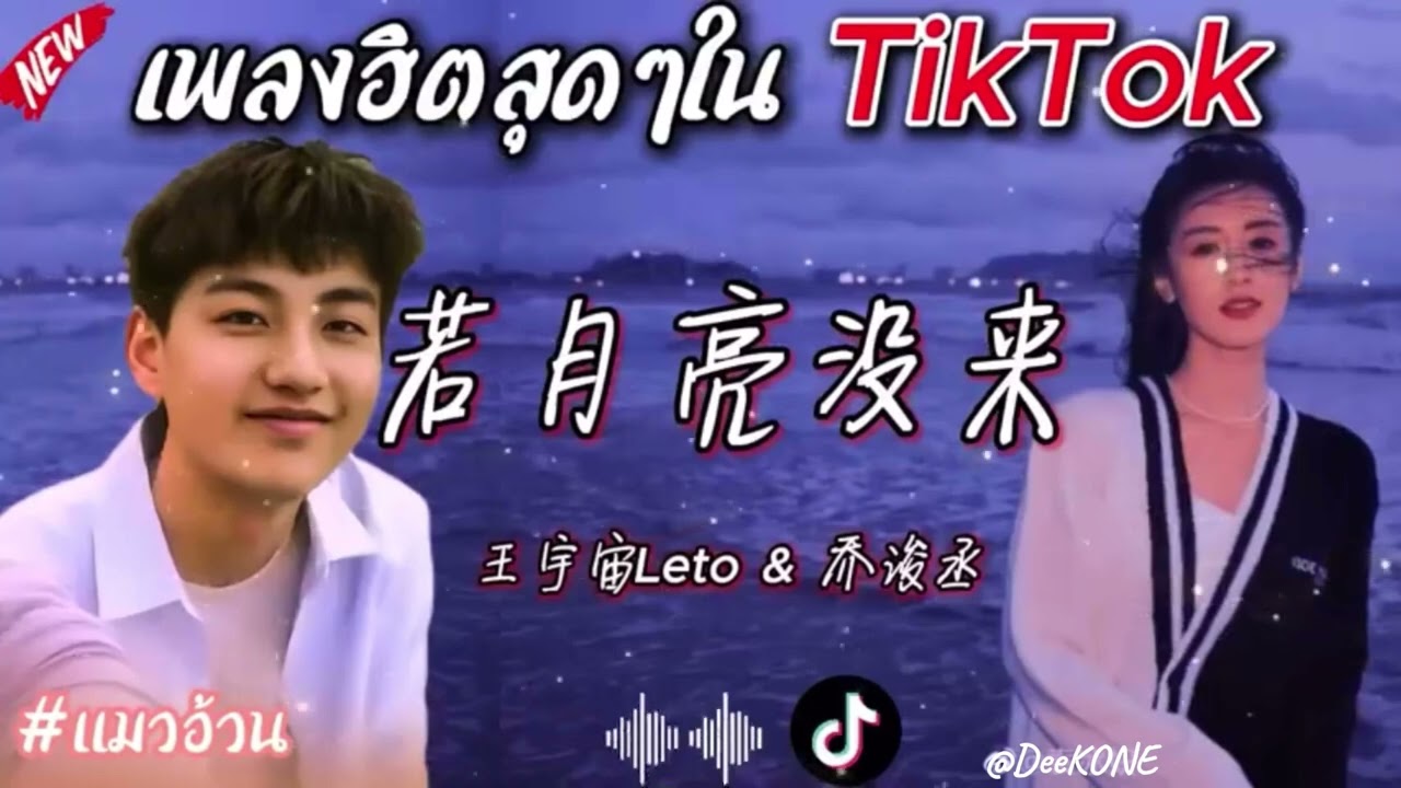 เพลงจีนที่กำลังมาแรงสุดๆในTik Tokตอนนี้ #猫正在拉屎#DeejayzKONE #เพลงฮิตในtiktok #มาแรง