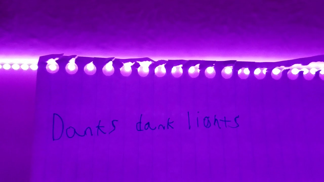 Dank lights
