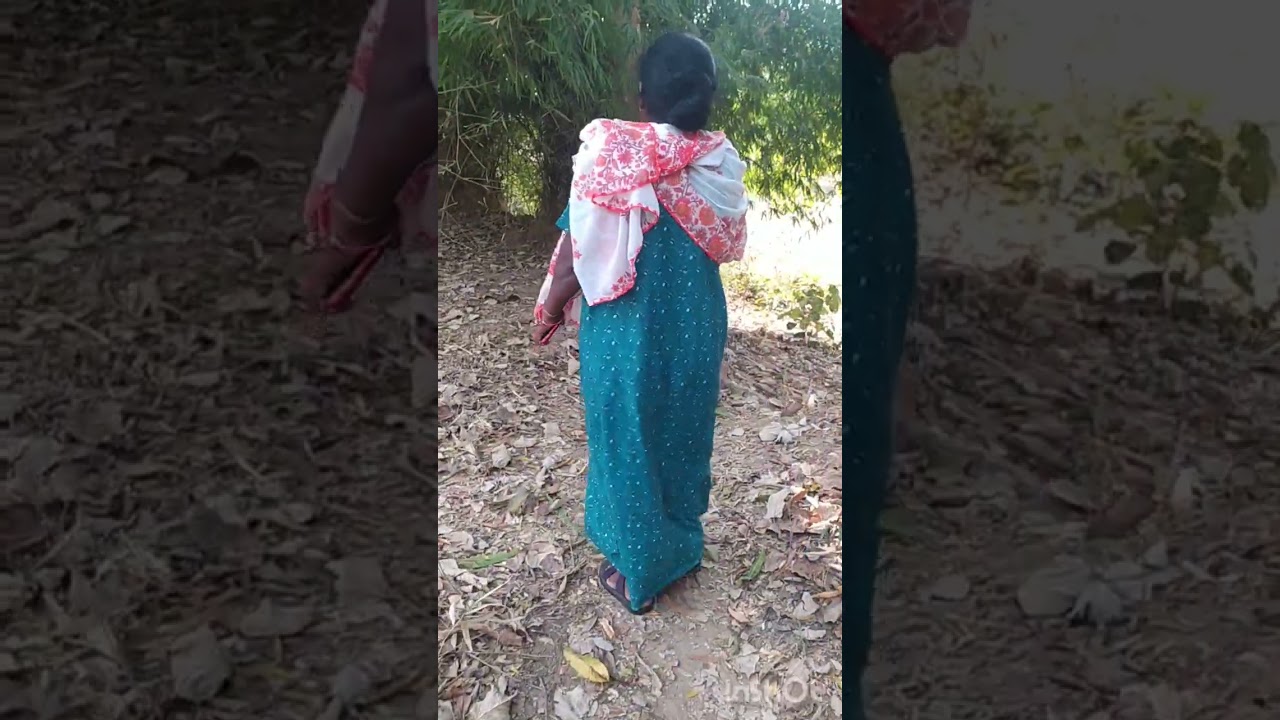 ଆମର୍ ବାରି ବୁଲିଯିବା ଆସ