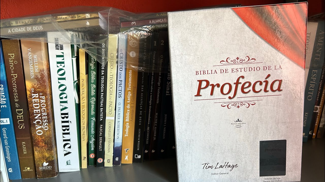 Bíblia de estudo profética Tim Lahaye 