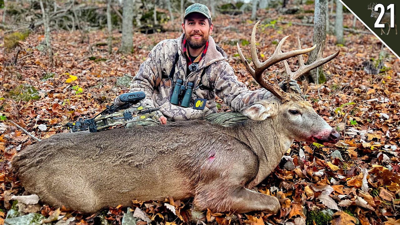 BIG WOODS BUCK with a BOW!!! - (Missouri Public Land)