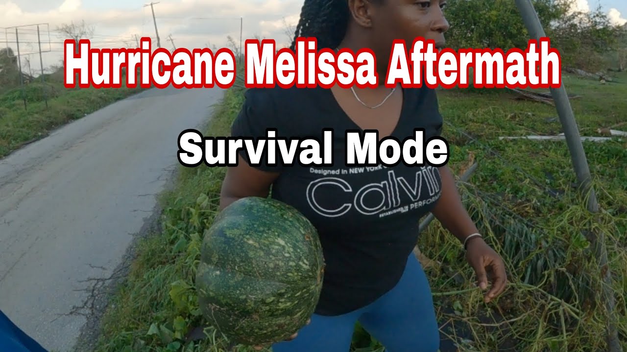 Melissa Aftermath Survival Mode