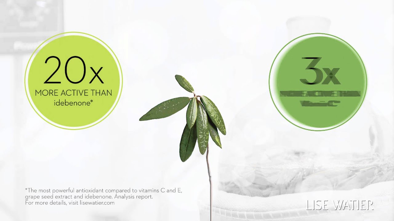 Labrador Tea: The most powerful antioxidant