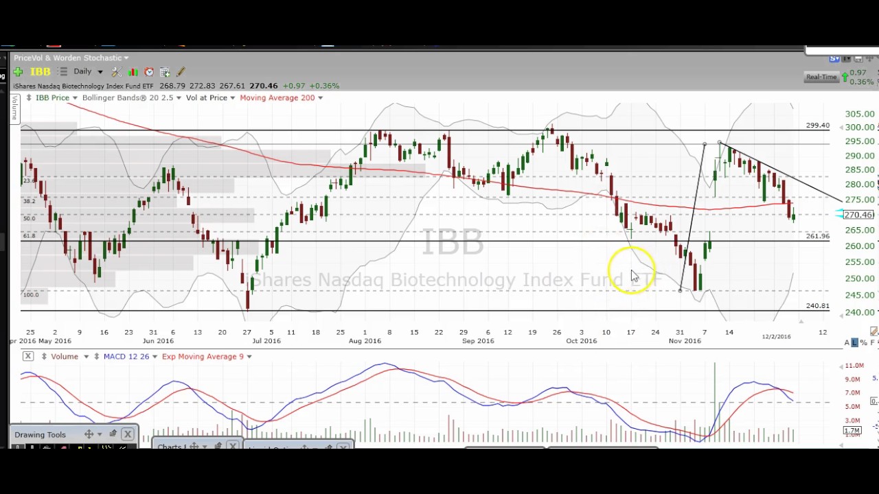 Biotech Chart Technical Analysis $IBB $NBI $XBI $UBIO $LABU $LABD $BIB $FBT $GILD $BIIB $CELG $AMGN