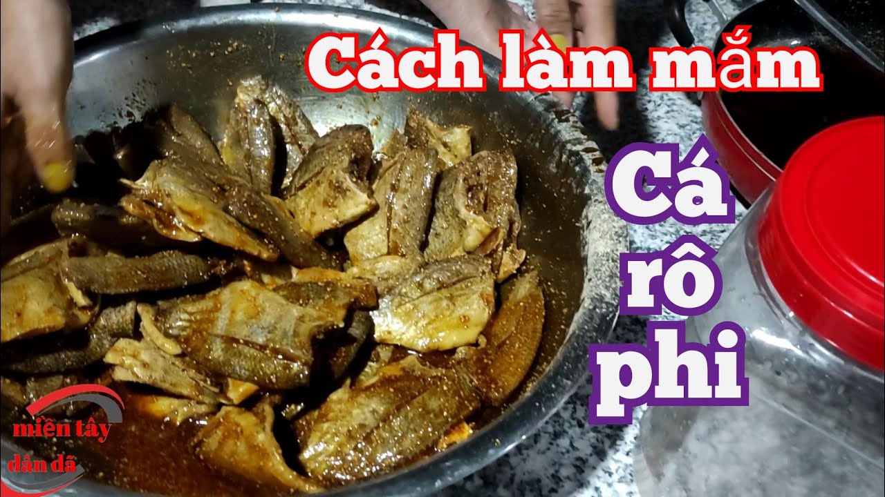 Cách làm mắm cá rô phi món ăn 3 miền | miền tây dân dã | # 168