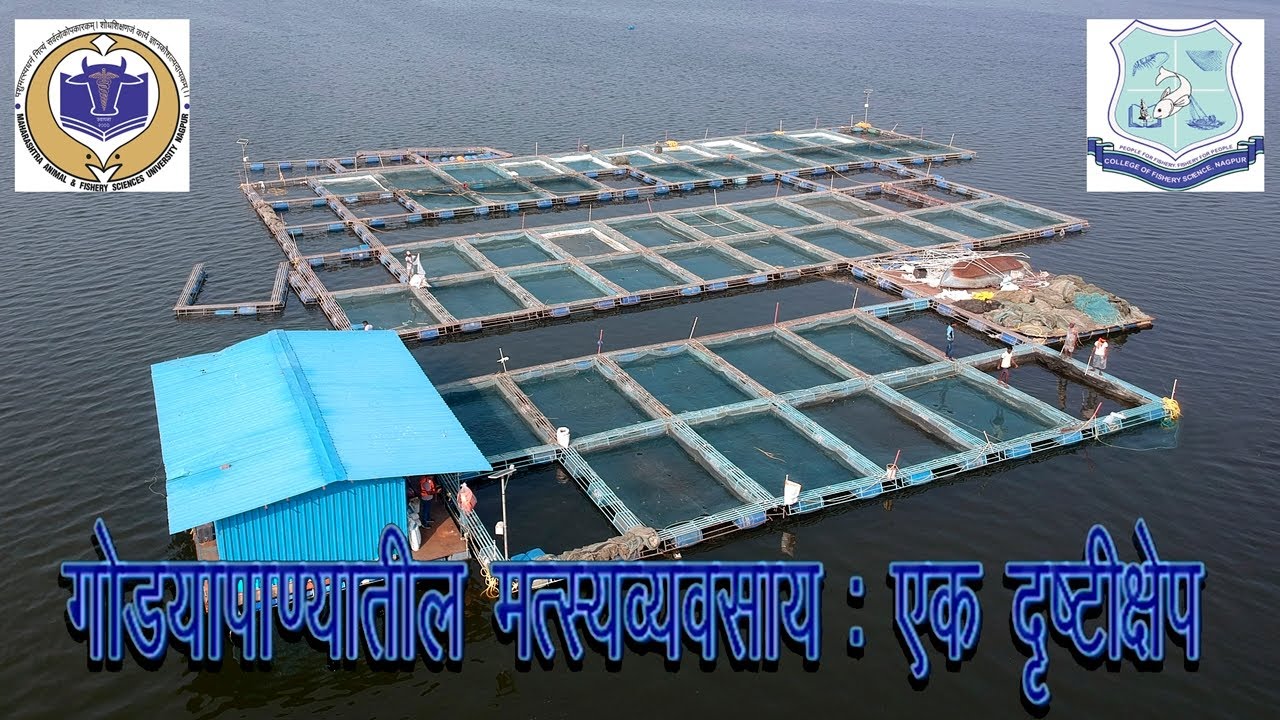 A Documentary on Fishery Science