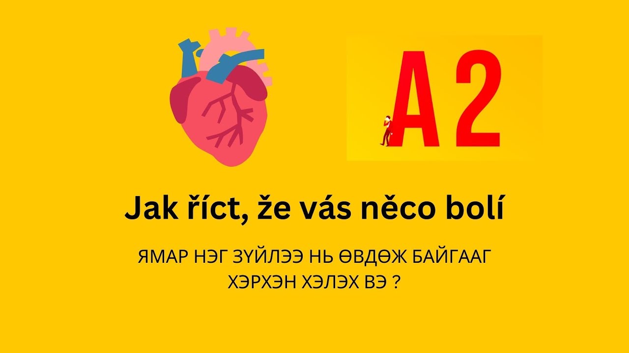А2 ТҮВШИН - ЯМАР НЭГ ЗҮЙЛЭЭ НЬ ӨВДӨЖ БАЙГААГ ХЭРХЭН ХЭЛЭХ ВЭ ? - [ Trvalý pobyt zkouška ]