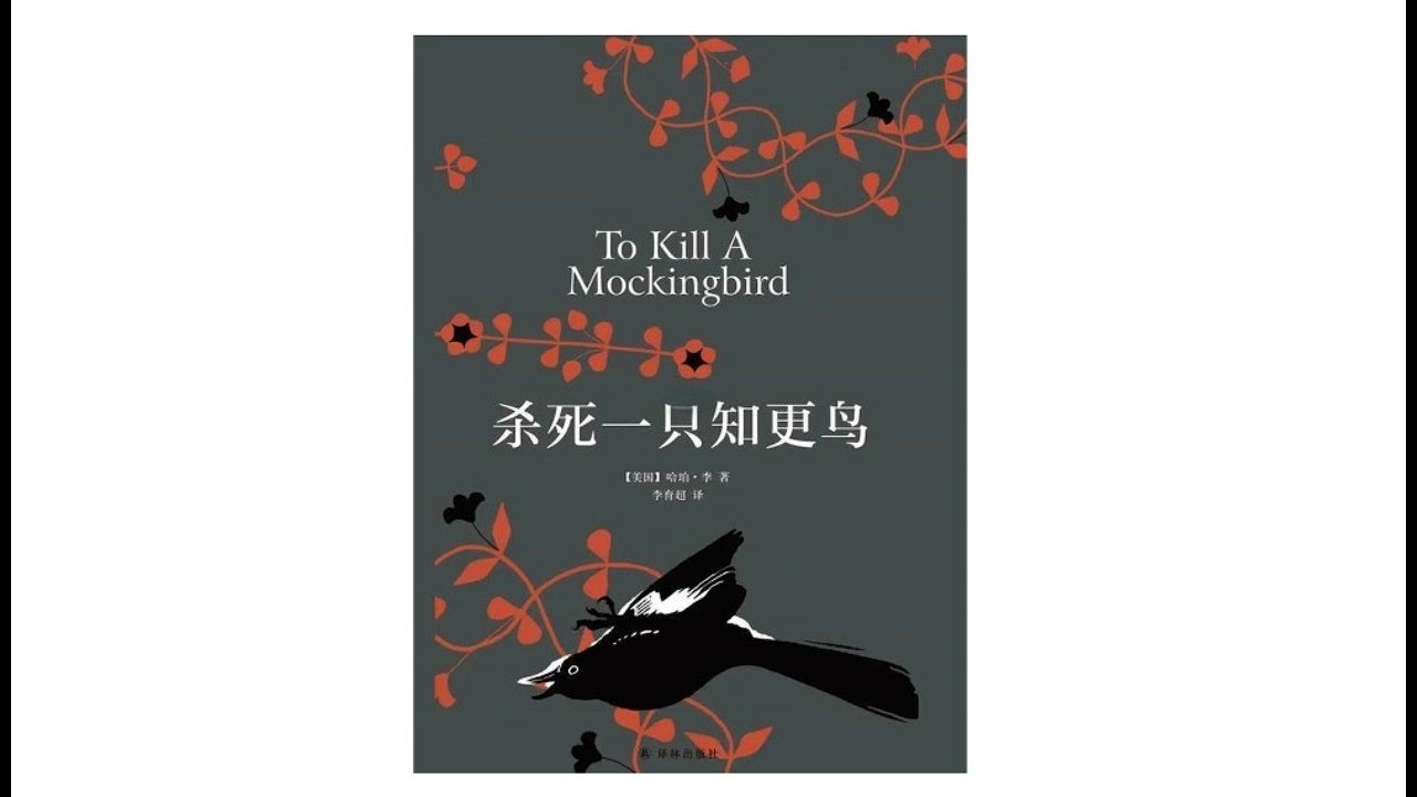 2-真人朗读有声书《杀死一只知更鸟》世界上最有名的成长小说如何在磨难中历练风度在不公平中积累正气在充满丑陋与问题的世界中塑造自己的道德底线_第2部分#有声书#听书#有声小说